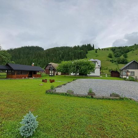 Casa Dumitru Si Elena Ciocanesti Bucovina Εξωτερικό φωτογραφία