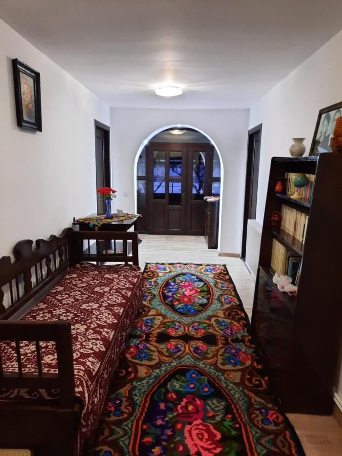 Casa Dumitru Si Elena Ciocanesti Bucovina Εξωτερικό φωτογραφία