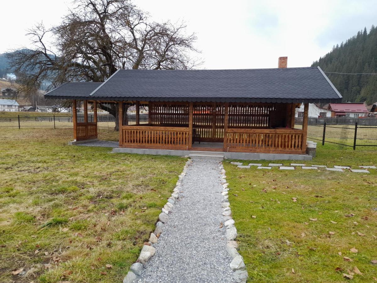 Casa Dumitru Si Elena Ciocanesti Bucovina Εξωτερικό φωτογραφία