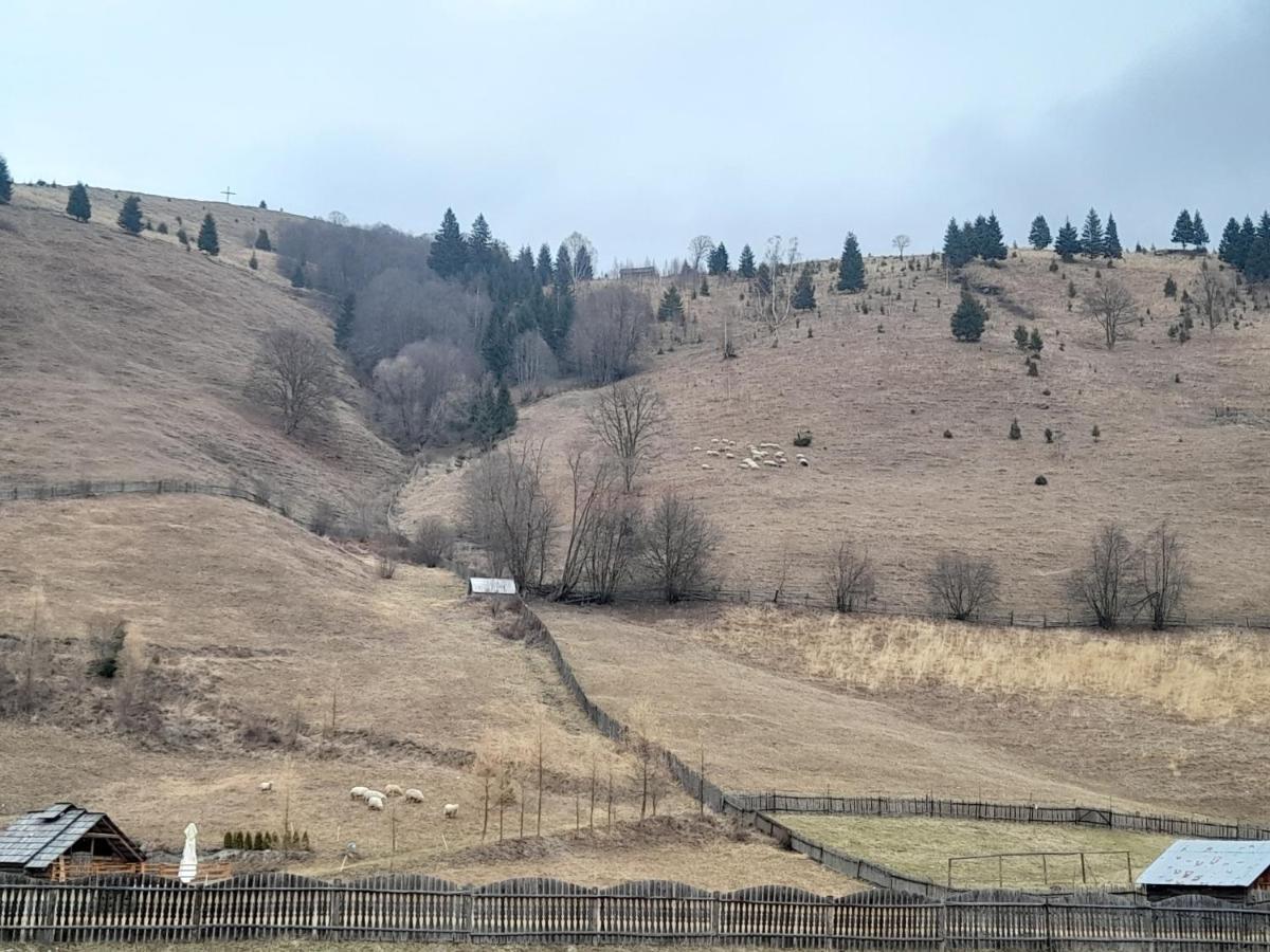 Casa Dumitru Si Elena Ciocanesti Bucovina Εξωτερικό φωτογραφία