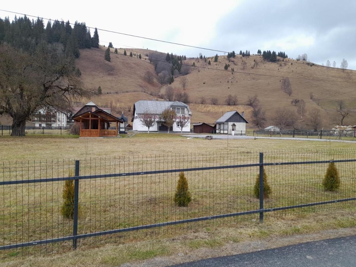 Casa Dumitru Si Elena Ciocanesti Bucovina Εξωτερικό φωτογραφία