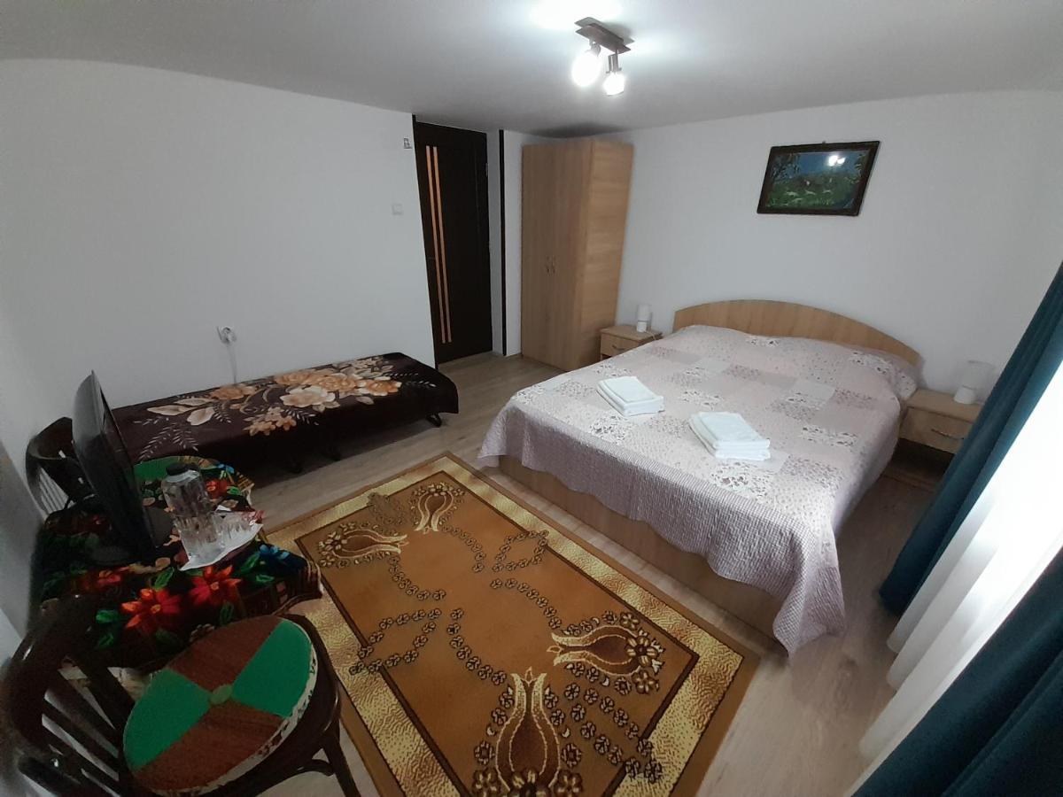 Casa Dumitru Si Elena Ciocanesti Bucovina Εξωτερικό φωτογραφία