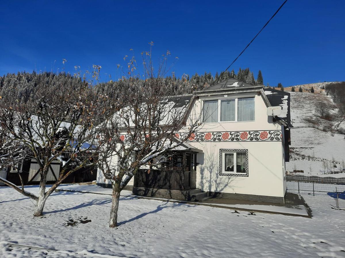 Casa Dumitru Si Elena Ciocanesti Bucovina Εξωτερικό φωτογραφία