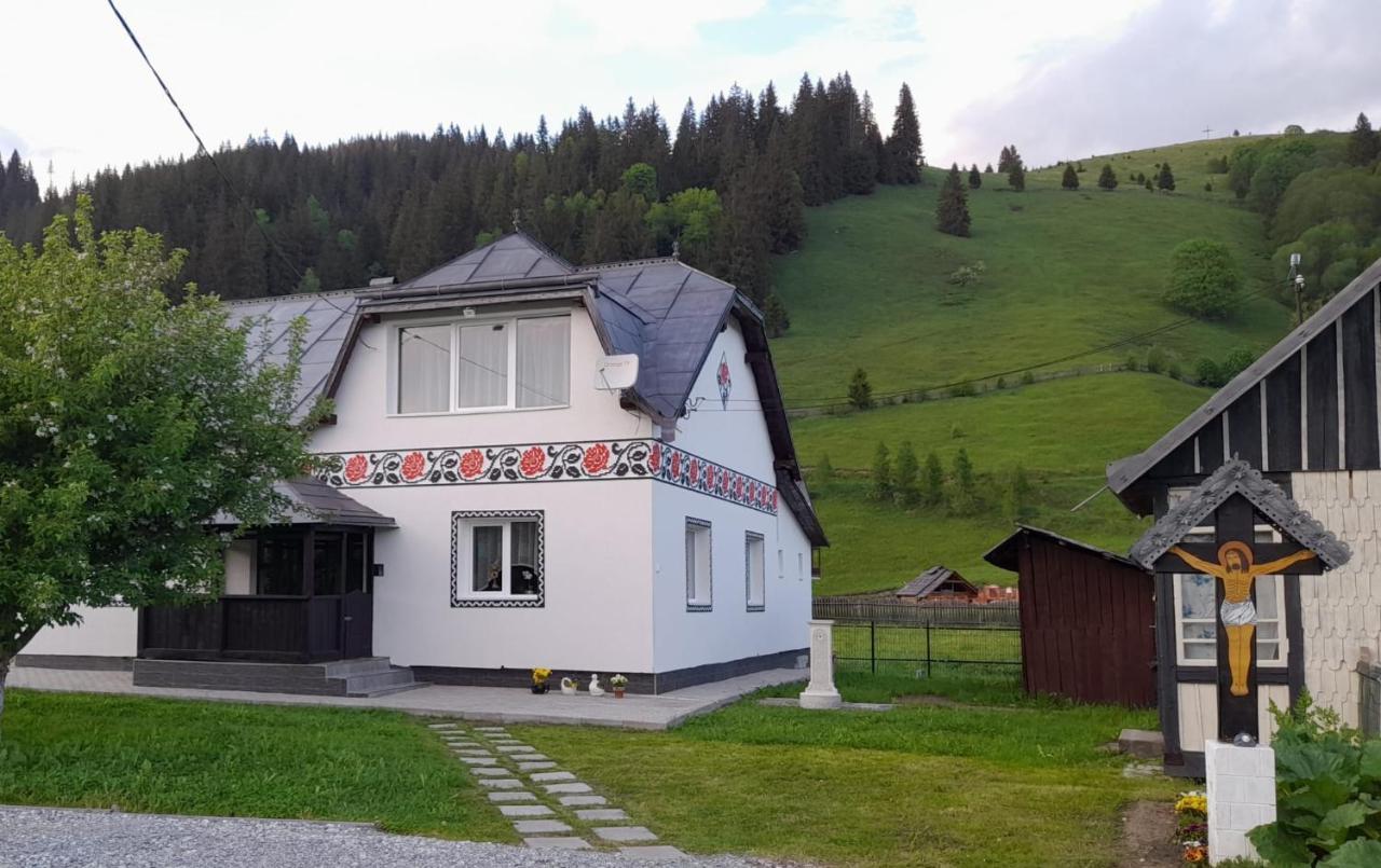 Casa Dumitru Si Elena Ciocanesti Bucovina Εξωτερικό φωτογραφία