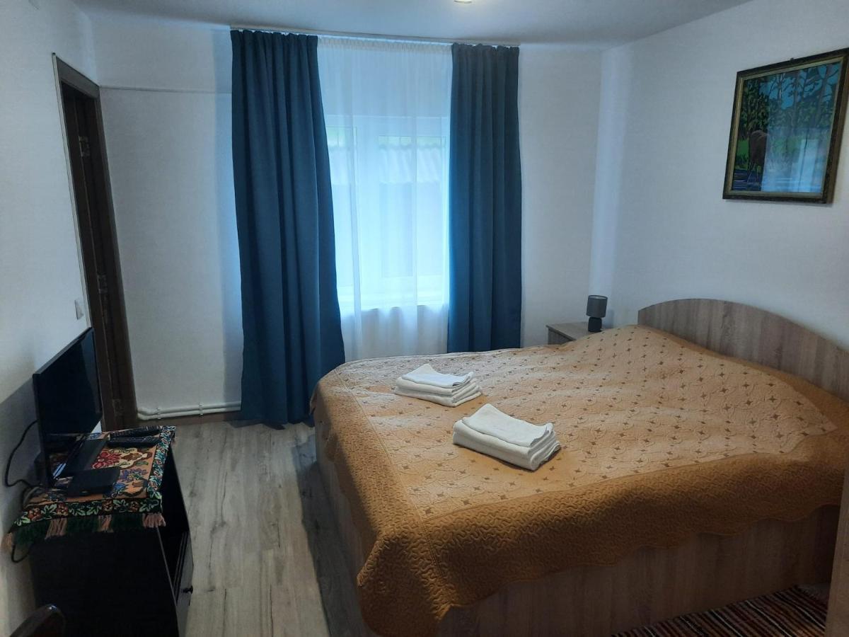 Casa Dumitru Si Elena Ciocanesti Bucovina Εξωτερικό φωτογραφία