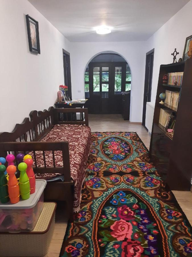 Casa Dumitru Si Elena Ciocanesti Bucovina Εξωτερικό φωτογραφία