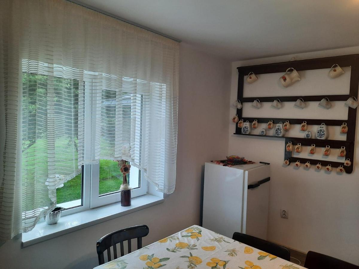 Casa Dumitru Si Elena Ciocanesti Bucovina Εξωτερικό φωτογραφία