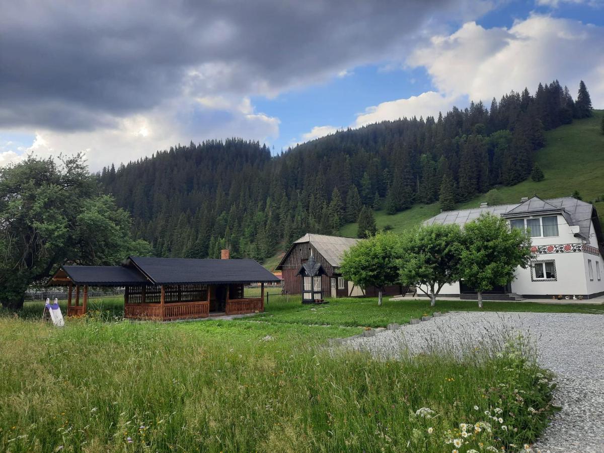 Casa Dumitru Si Elena Ciocanesti Bucovina Εξωτερικό φωτογραφία