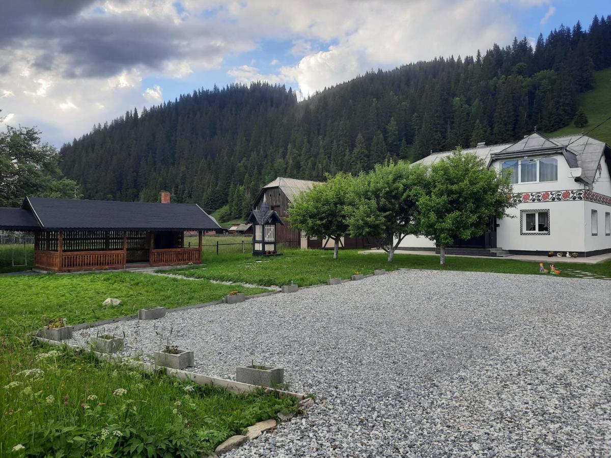 Casa Dumitru Si Elena Ciocanesti Bucovina Εξωτερικό φωτογραφία