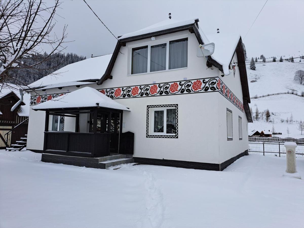 Casa Dumitru Si Elena Ciocanesti Bucovina Εξωτερικό φωτογραφία